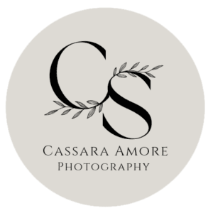 Bronze Package For Engagements/Proposals